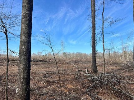 Timberland Property in Scott County, Mississippi