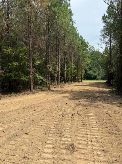 Recreational Property for sale in Webster County, Mississippi