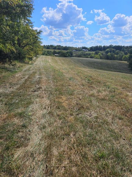 Land for sale in Nicholas County, Kentucky