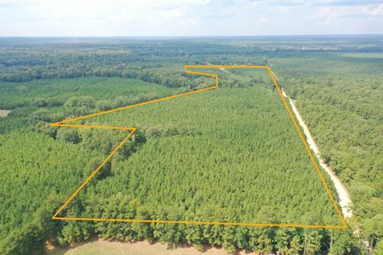 Land for sale in Drew County, Arkansas