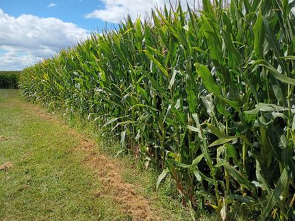 Farm and Ranch for sale in Schuyler County, Illinois