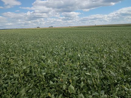 Land for sale in Schuyler County, Illinois