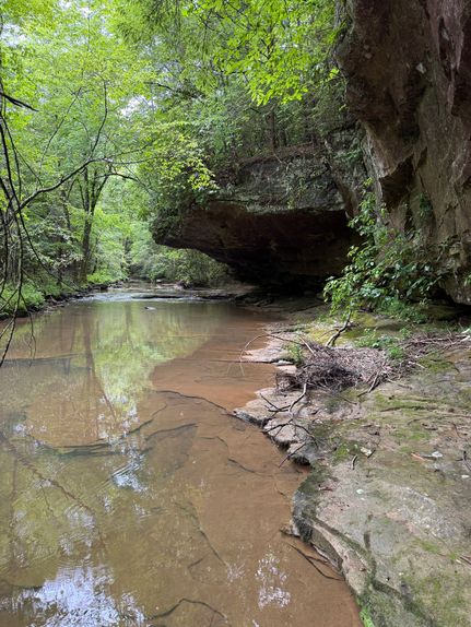 Farm and Ranch for sale in Scott County, Tennessee