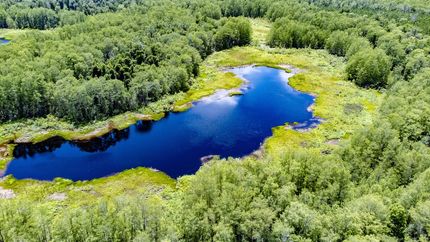 Recreational Property in Jackson County, Florida