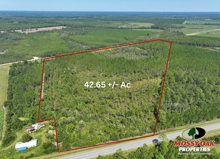 Commercial Property for sale in Pierce County, Georgia