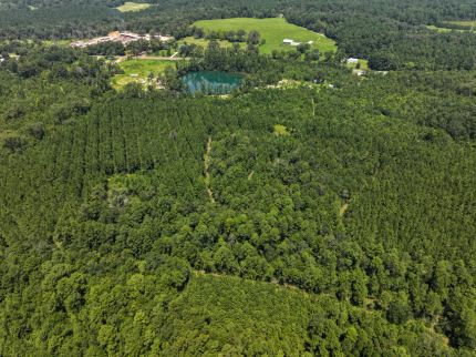 Undeveloped Land in Polk County, Texas
