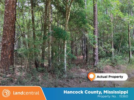 Farm and Ranch in Hancock County, Mississippi
