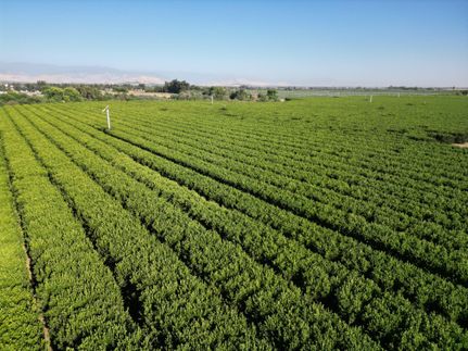 Land for sale in Tulare County, California