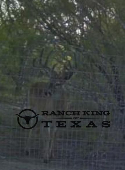 Undeveloped Land for sale in Duval County, Texas