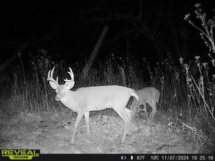 Timberland Property for sale in Cumberland County, Kentucky