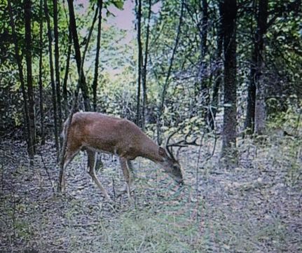Recreational Property in Jackson County, Arkansas
