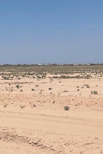 Undeveloped Land for sale in Reeves County, Texas