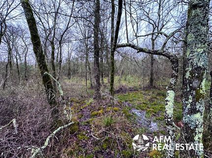 Undeveloped Land for sale in Pushmataha County, Oklahoma