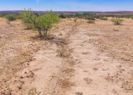 Undeveloped Land for sale in Hudspeth County, Texas