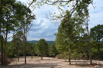 Land for sale in Douglas County, Missouri