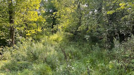 Undeveloped Land for sale in Trumbull County, Ohio