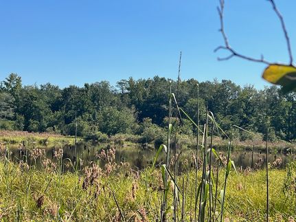 Undeveloped Land for sale in Glascock County, Georgia