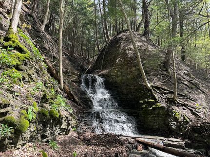 Undeveloped Land for sale in Allegany County, New York