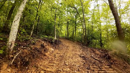 Undeveloped Land in Lawrence County, Ohio