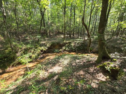 Hunting Property for sale in Pickens County, Alabama