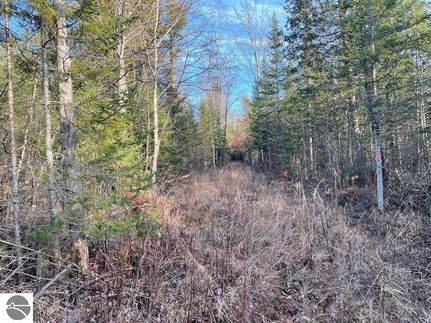 Undeveloped Land in Roscommon County, Michigan