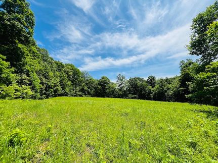 Undeveloped Land in Breckinridge County, Kentucky