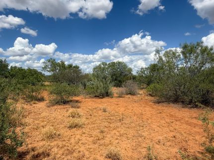 Land for sale in Webb County, Texas