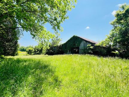 Undeveloped Land in Breckinridge County, Kentucky