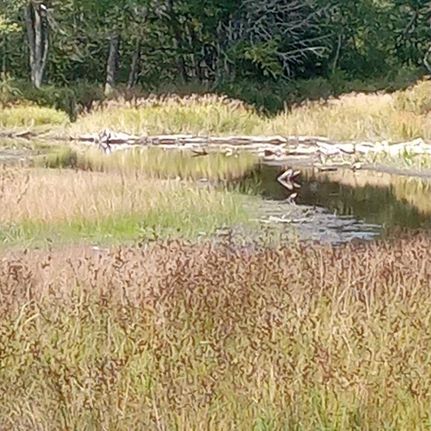 Farm and Ranch for sale in Fulton County, New York