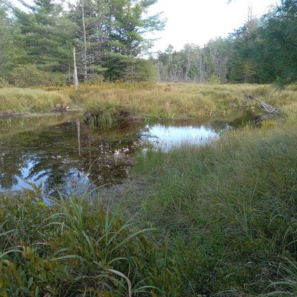 Undeveloped Land for sale in Fulton County, New York