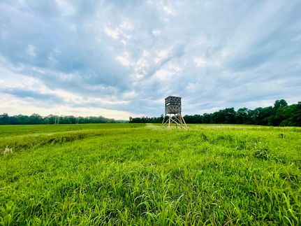 Undeveloped Land in Breckinridge County, Kentucky