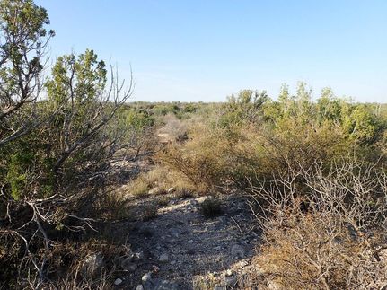 Farm and Ranch for sale in Terrell County, Texas