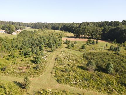 Undeveloped Land for sale in Henry County, Georgia