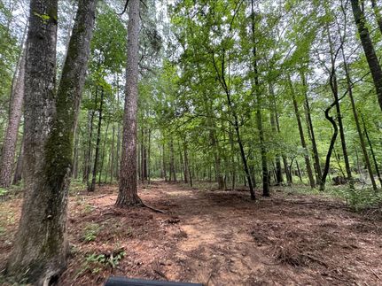 Land for sale in Morris County, Texas