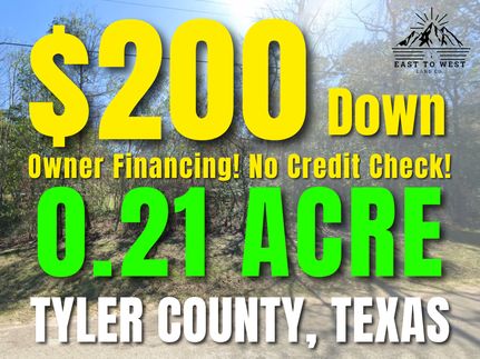 Undeveloped Land for sale in Tyler County, Texas