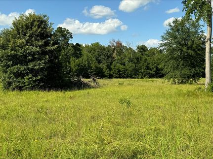 Farm and Ranch for sale in Morris County, Texas