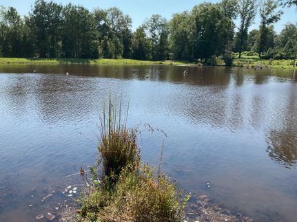 Recreational Property for sale in Pike County, Alabama