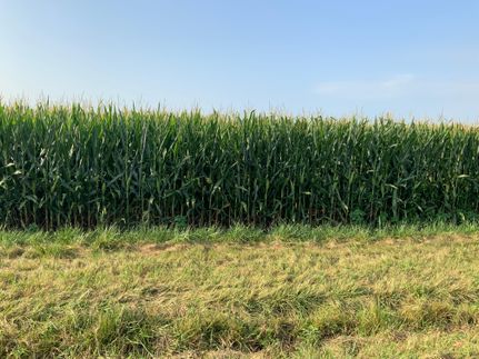 Land for sale in Piatt County, Illinois