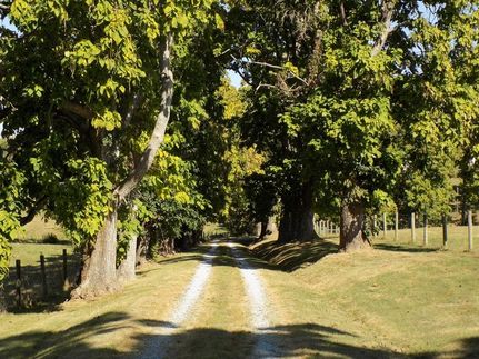 Riverfront Property for sale in Fleming County, Kentucky