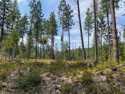 Timberland Property for sale in Grant County, Oregon