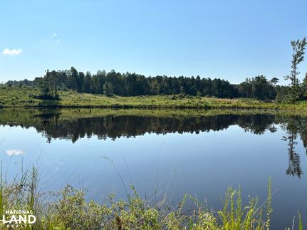 Lakefront Property for sale in Leake County, Mississippi