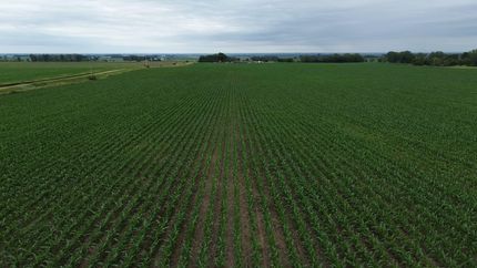 Farm and Ranch for sale in Clay County, South Dakota