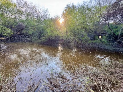 Farm and Ranch in Duval County, Texas