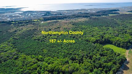 Timberland Property for sale in Northampton County, Virginia