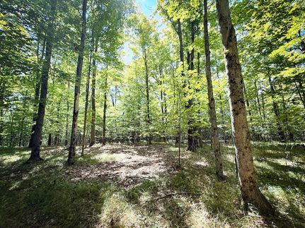 Recreational Property for sale in Tioga County, New York