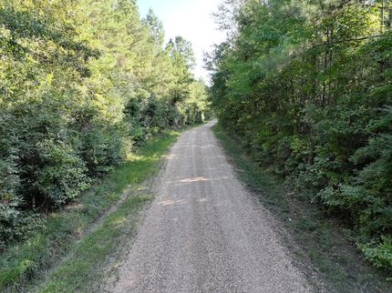 Land for sale in Saint Helena Parish, Louisiana