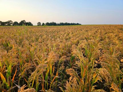 Recreational Property for sale in Cheyenne County, Nebraska