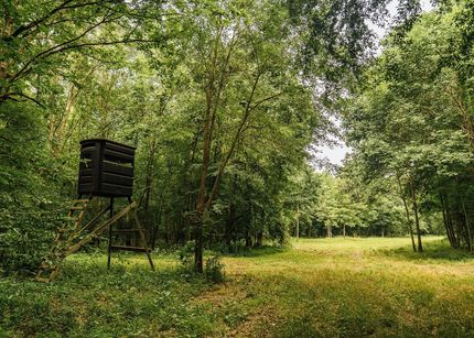 Land for sale in Lafayette County, Mississippi