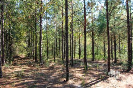 Recreational Property for sale in Washington County, Florida