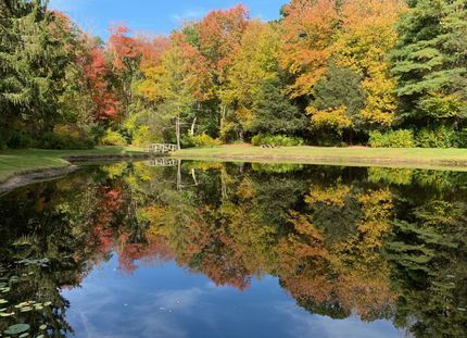 Undeveloped Land for sale in Middlesex County, Connecticut